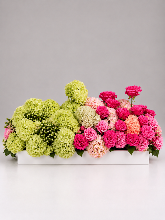 Colourful Box Arrangements