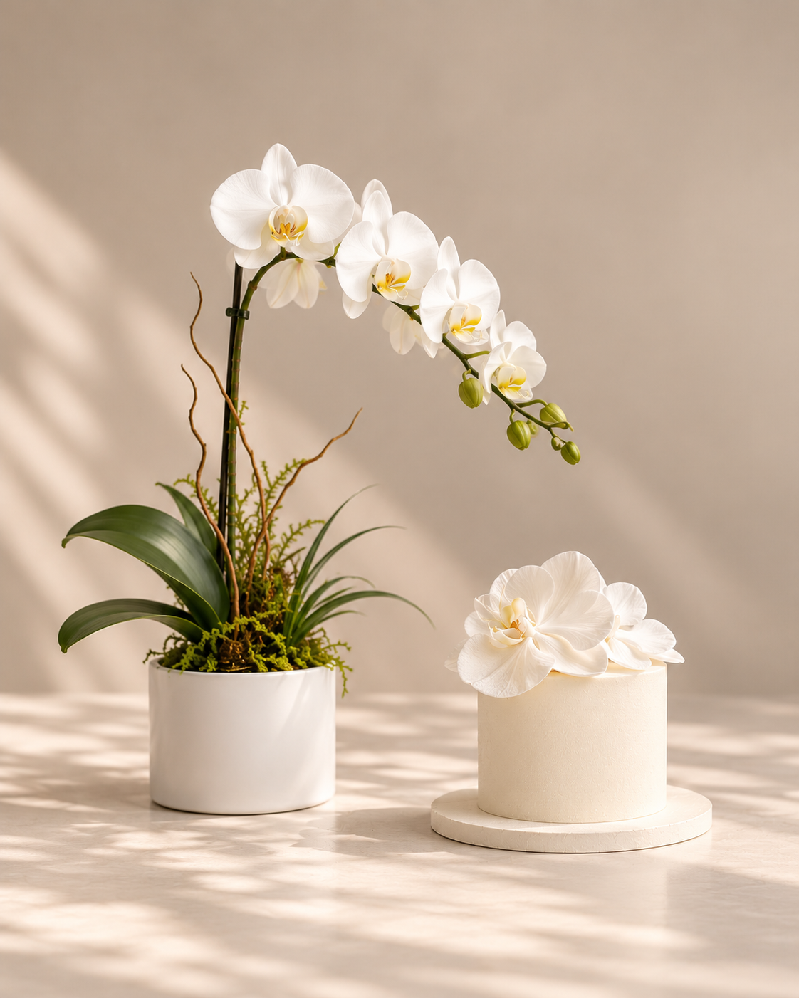Orchid Bundle
