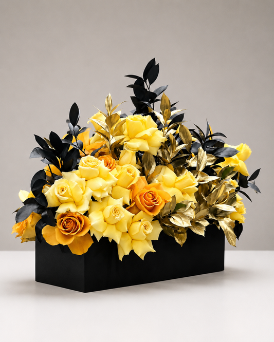 Sun Box Arrangements