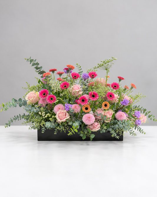 Wild Box Arrangements