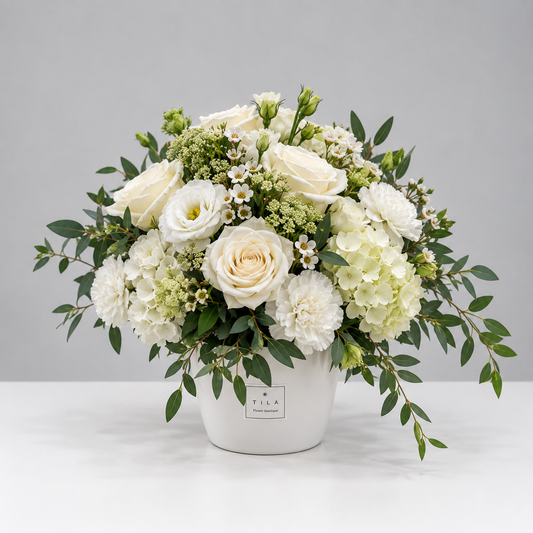 White Sympathy