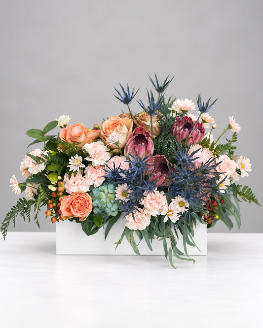 Rare Wild Box Arrangements